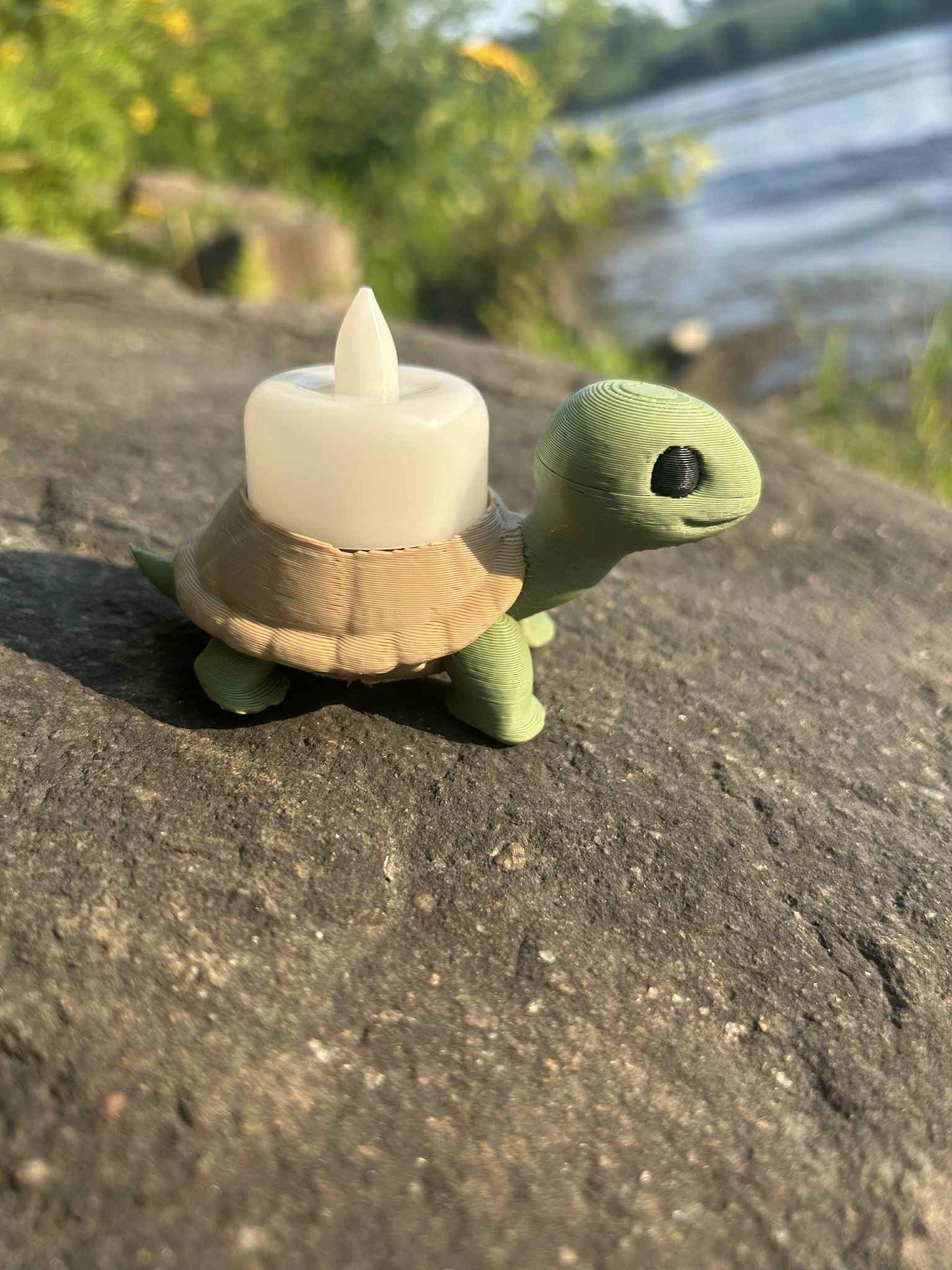 Bougeoir de tortue