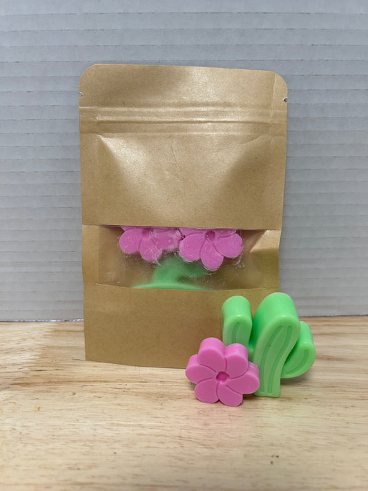 Pastilles de cire Fleur de Cactus